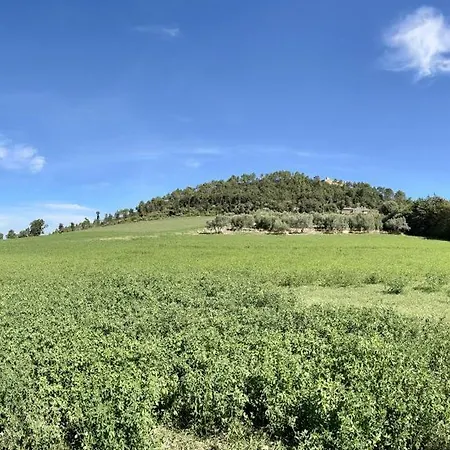 公寓 Il Leccio San Dalmazio