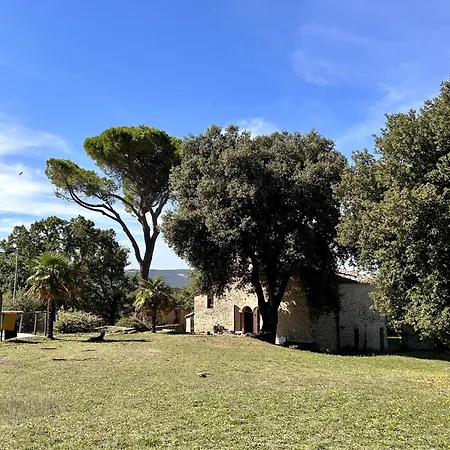 Il Leccio アパート San Dalmazio